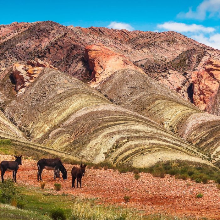 argentina 3